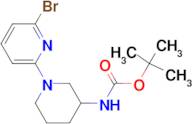 (6'-Bromo-3,4,5,6-tetrahydro-2H-[1,2']bipyridinyl-3-yl)-carbamic acid tert-butyl ester