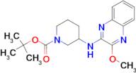 3-(3-Methoxy-quinoxalin-2-ylamino)-piperidine-1-carboxylic acid tert-butyl ester