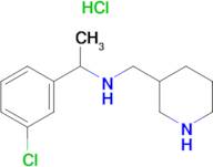 [1-(3-Chloro-phenyl)-ethyl]-piperidin-3-ylmethyl-amine hydrochloride