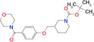 3-[4-(Morpholine-4-carbonyl)-phenoxymethyl]-piperidine-1-carboxylic acid tert-butyl ester