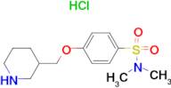 N,N-dimethyl-4-(piperidin-3-ylmethoxy)benzenesulfonamide hydrochloride