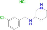 (3-Chloro-benzyl)-piperidin-3-yl-amine hydrochloride