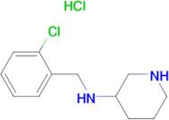 (2-Chloro-benzyl)-piperidin-3-yl-amine hydrochloride