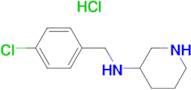 (4-Chloro-benzyl)-piperidin-3-yl-amine hydrochloride