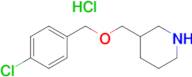 3-(4-Chloro-benzyloxymethyl)-piperidine hydrochloride