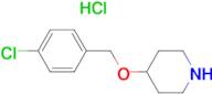 4-(4-Chloro-benzyloxy)-piperidine hydrochloride