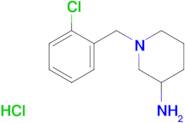 1-(2-Chloro-benzyl)-piperidin-3-ylamine hydrochloride