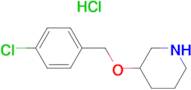 3-(4-Chloro-benzyloxy)-piperidine hydrochloride