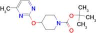 4-(4-Methyl-pyrimidin-2-yloxy)-piperidine-1-carboxylic acid tert-butyl ester