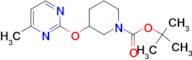 3-(4-Methyl-pyrimidin-2-yloxy)-piperidine-1-carboxylic acid tert-butyl ester