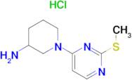 1-(2-Methylsulfanyl-pyrimidin-4-yl)-piperidin-3-ylamine hydrochloride