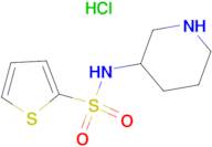 Thiophene-2-sulfonic acid piperidin-3-ylamide hydrochloride