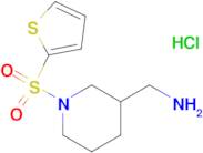 C-[1-(Thiophene-2-sulfonyl)-piperidin-3-yl]-methylamine hydrochloride