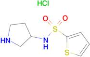 Thiophene-2-sulfonic acid pyrrolidin-3-ylamide hydrochloride