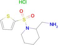 C-[1-(Thiophene-2-sulfonyl)-piperidin-2-yl]-methylamine hydrochloride