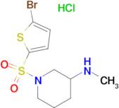 [1-(5-Bromo-thiophene-2-sulfonyl)-piperidin-3-yl]-methyl-amine hydrochloride