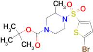 4-(5-Bromo-thiophene-2-sulfonyl)-3-methyl-piperazine-1-carboxylic acid tert-butyl ester