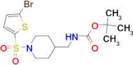 [1-(5-Bromo-thiophene-2-sulfonyl)-piperidin-4-ylmethyl]-carbamic acid tert-butyl ester