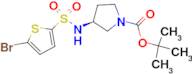 (S)-3-(5-Bromo-thiophene-2-sulfonylamino)-pyrrolidine-1-carboxylic acid tert-butyl ester