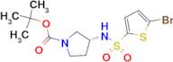 (R)-3-(5-Bromo-thiophene-2-sulfonylamino)-pyrrolidine-1-carboxylic acid tert-butyl ester