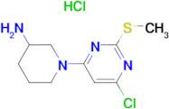 1-(6-Chloro-2-methylsulfanyl-pyrimidin-4-yl)-piperidin-3-ylamine hydrochloride