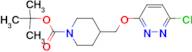 4-(6-Chloro-pyridazin-3-yloxymethyl)-piperidine-1-carboxylic acid tert-butyl ester