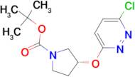 (R)-3-(6-Chloro-pyridazin-3-yloxy)-pyrrolidine-1-carboxylic acid tert-butyl ester