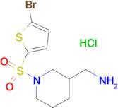 C-[1-(5-Bromo-thiophene-2-sulfonyl)-piperidin-3-yl]-methylamine hydrochloride