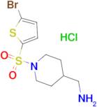 C-[1-(5-Bromo-thiophene-2-sulfonyl)-piperidin-4-yl]-methylamine hydrochloride