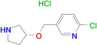 2-Chloro-5-((R)-pyrrolidin-3-yloxymethyl)-pyridine hydrochloride