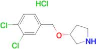 (R)-3-(3,4-Dichloro-benzyloxy)-pyrrolidine hydrochloride