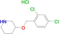 3-(2,4-Dichloro-benzyloxy)-piperidine hydrochloride