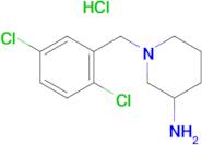 1-(2,5-Dichloro-benzyl)-piperidin-3-ylamine hydrochloride