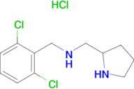 (2,6-Dichloro-benzyl)-pyrrolidin-2-ylmethyl-amine hydrochloride