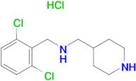 (2,6-Dichloro-benzyl)-piperidin-4-ylmethyl-amine hydrochloride