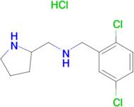 (2,5-Dichloro-benzyl)-pyrrolidin-2-ylmethyl-amine hydrochloride