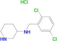 (2,5-Dichloro-benzyl)-piperidin-3-yl-amine hydrochloride