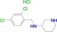 (2,4-Dichloro-benzyl)-piperidin-3-yl-amine hydrochloride