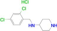 (2,4-Dichloro-benzyl)-piperidin-4-yl-amine hydrochloride