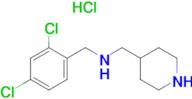 (2,4-Dichloro-benzyl)-piperidin-4-ylmethyl-amine hydrochloride