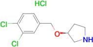 (S)-3-(3,4-Dichloro-benzyloxy)-pyrrolidine hydrochloride