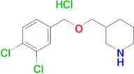 3-(3,4-Dichloro-benzyloxymethyl)-piperidine hydrochloride