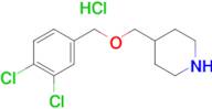 4-(3,4-Dichloro-benzyloxymethyl)-piperidine hydrochloride