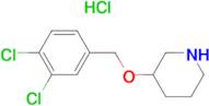 3-(3,4-Dichloro-benzyloxy)-piperidine hydrochloride