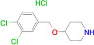 4-(3,4-Dichloro-benzyloxy)-piperidine hydrochloride