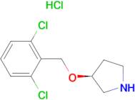 (S)-3-(2,6-Dichloro-benzyloxy)-pyrrolidine hydrochloride