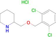 2-(2,6-Dichloro-benzyloxymethyl)-piperidine hydrochloride