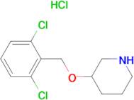 3-(2,6-Dichloro-benzyloxy)-piperidine hydrochloride