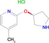 4-Methyl-2-((S)-pyrrolidin-3-yloxy)-pyridine hydrochloride