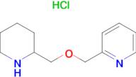 2-(Piperidin-2-ylmethoxymethyl)-pyridine hydrochloride